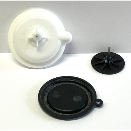 01-0347 - KIT REVISIONE MEMBRANA E BORCHIA